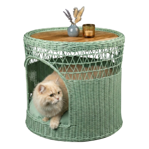 Bàn RUMAY Tre Đan Kết Hợp Ổ Thú Cưng Xanh Mint Đan Hở 1/3 Cửa Vòm - TV0150 - 50x50x50cm
